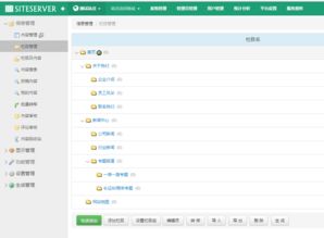 深入講解siteserver cms 演示建站全過程 一